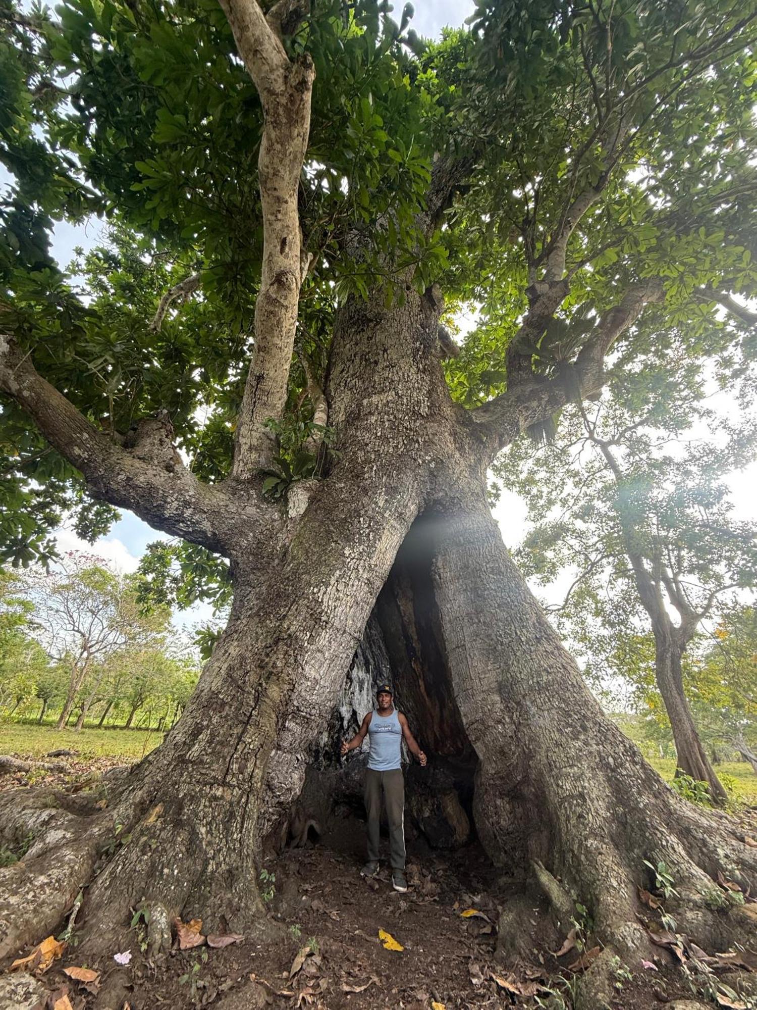 Las Cabanas De Mario Necocli Bagian luar foto